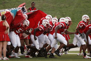 星空app官方下载-小胖笑容圈粉，粉丝被樊振东现场情绪打动，小胖樊振东表情包